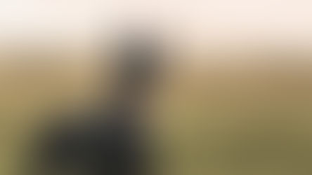 Dysfonctionnement plaquettaires