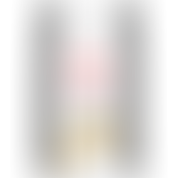 Sac Urinaire SO - Petit chien