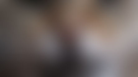 Rage: Devrais-je vacciner mon chat?