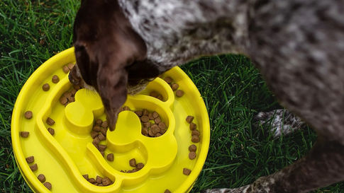 Prise alimentaire: Comment la ralentir?