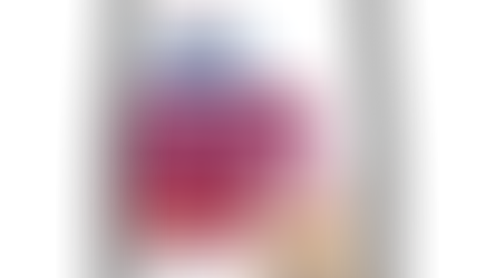 Sac Santé digestive i/d