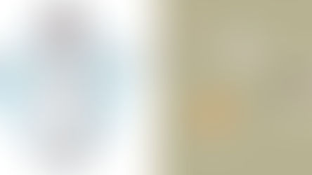 Test pour les vers du cœur et les maladies transmises par les tiques: Dois-je le faire?