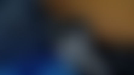 Vieillissement (gériatrie) chez le chien: Comment en prendre soin? 