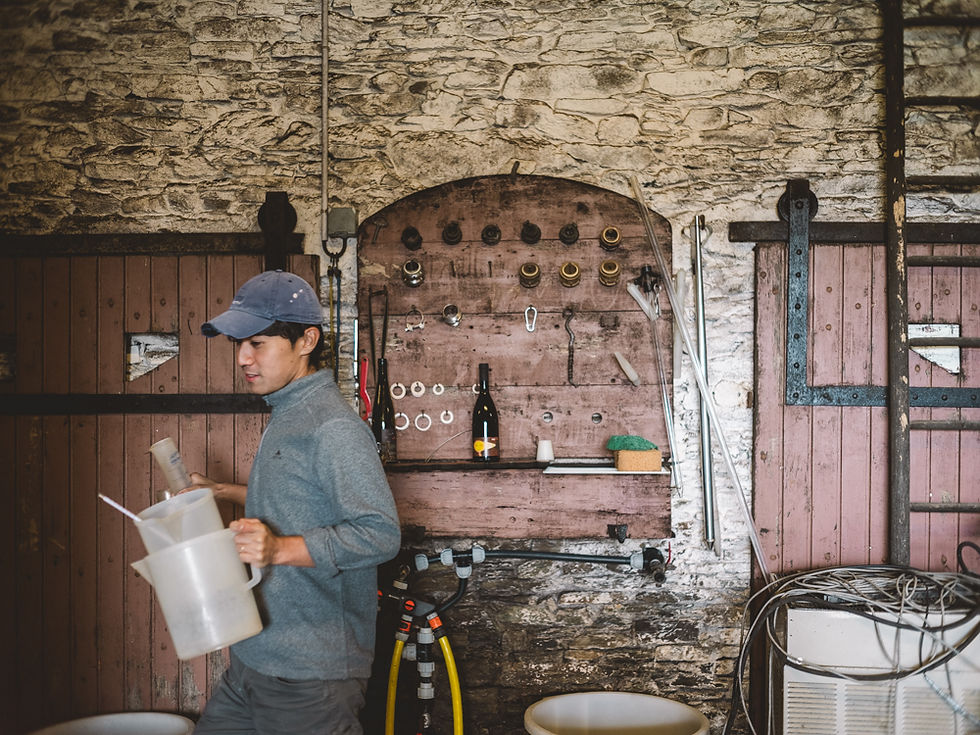 ナチュラルワイン醸造家