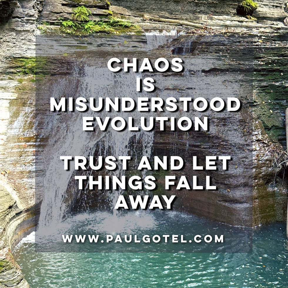 MISUNDERSTOOD CHAOS