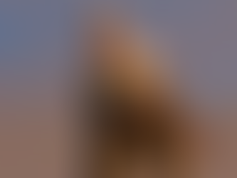 CD Projekt Red Games'in En İyi Kadın Karakterleri