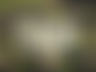 Manor Lords Sık Sık İndirim Vaat Ediyor