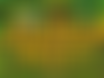 Stardew Valley Güncellemesi 1.6.4 Yeni İçerik Ekliyor, Hataları Düzeltiyor