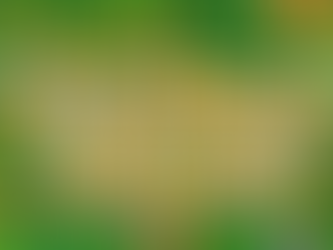 Çok İstenilen Özellik Sonunda Stardew Valley'e Geliyor