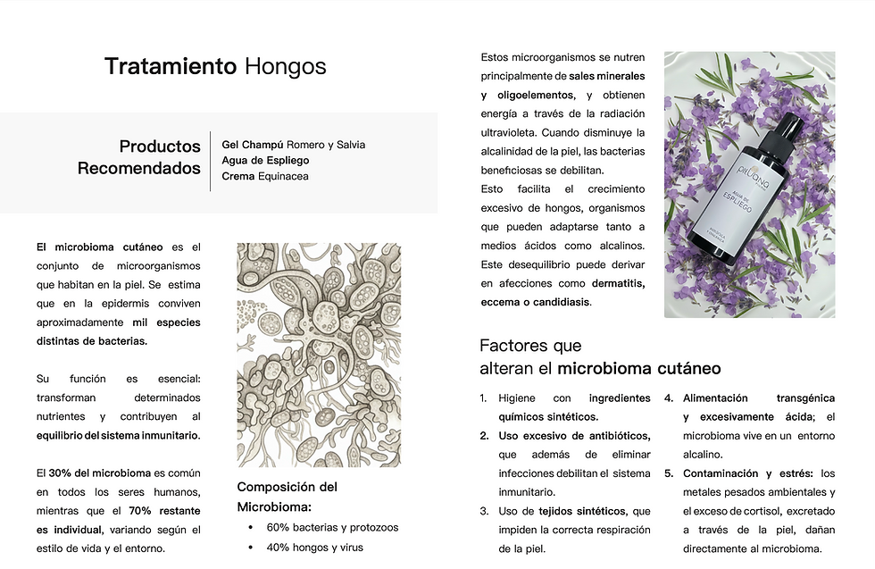 Miniatura: Tratamiento Hongos
