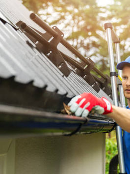 The Essential Guide to Seamless Gutter Cleansing