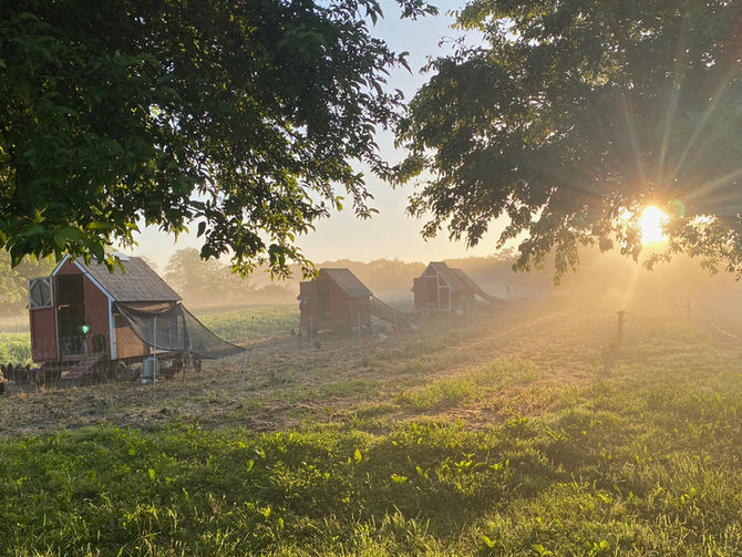 Summer Solstice