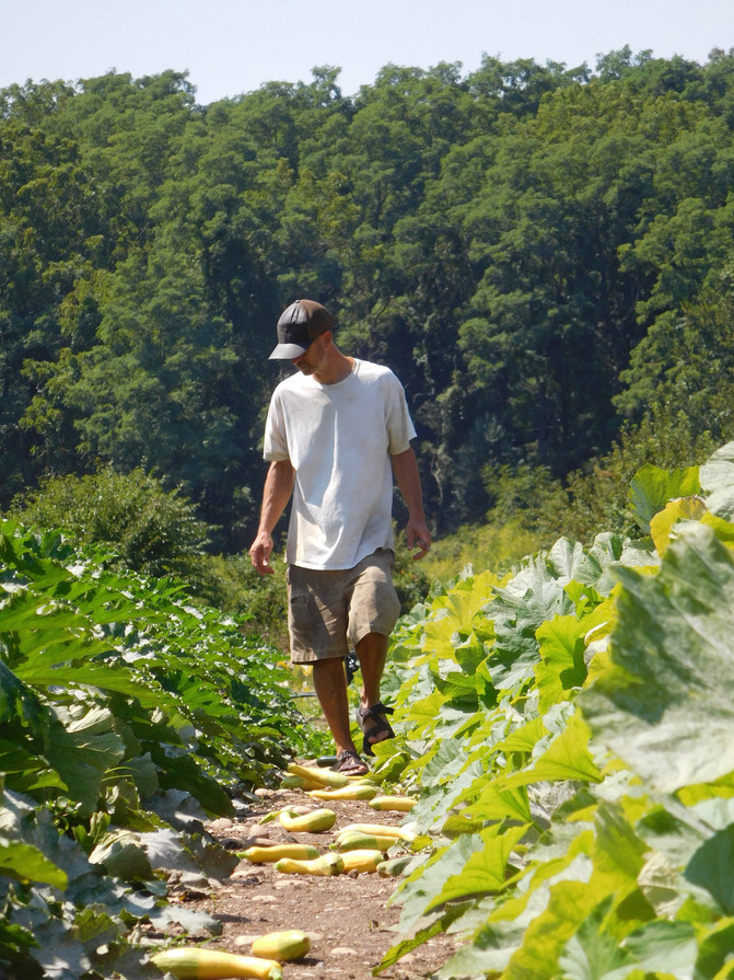 "Eating is an Agricultural Act"