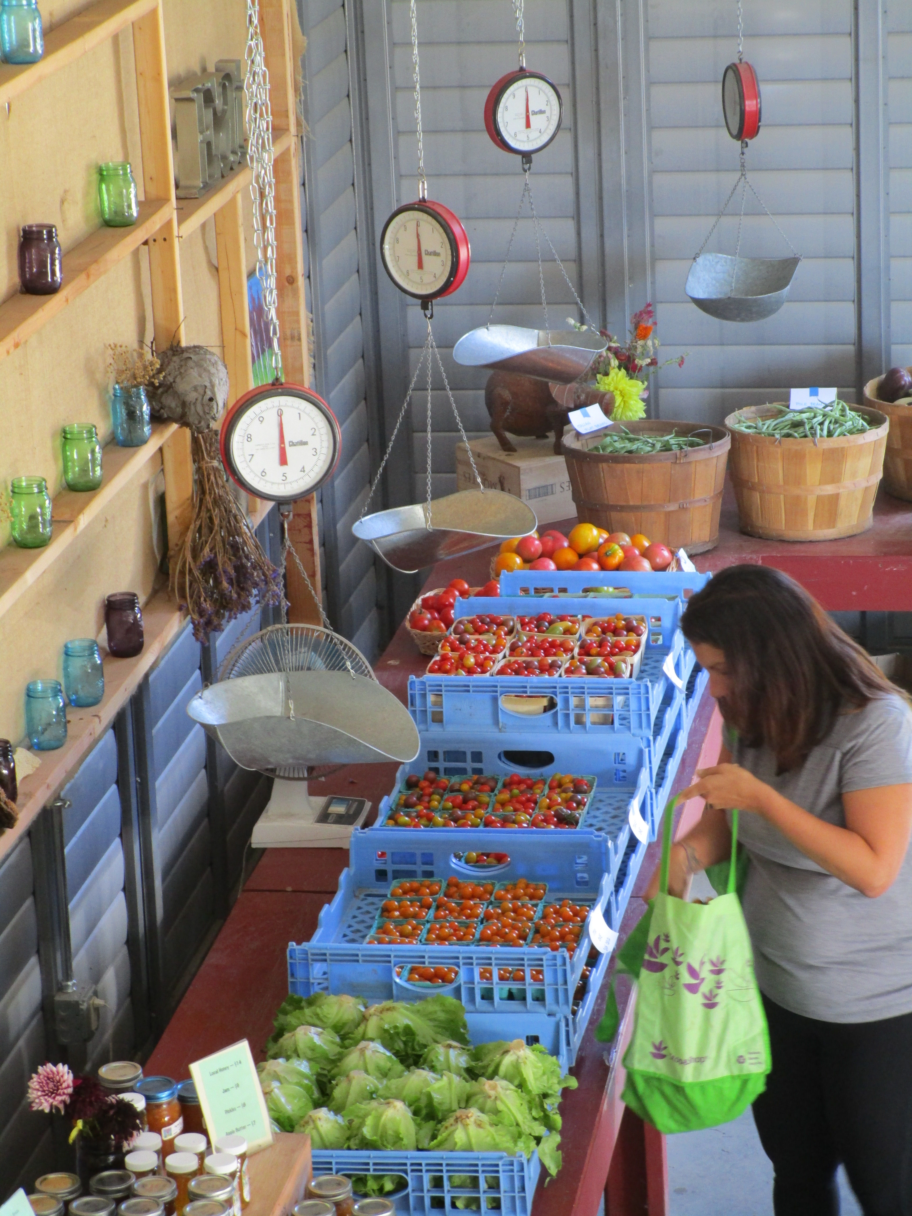 Shopper's Share $200 Credit