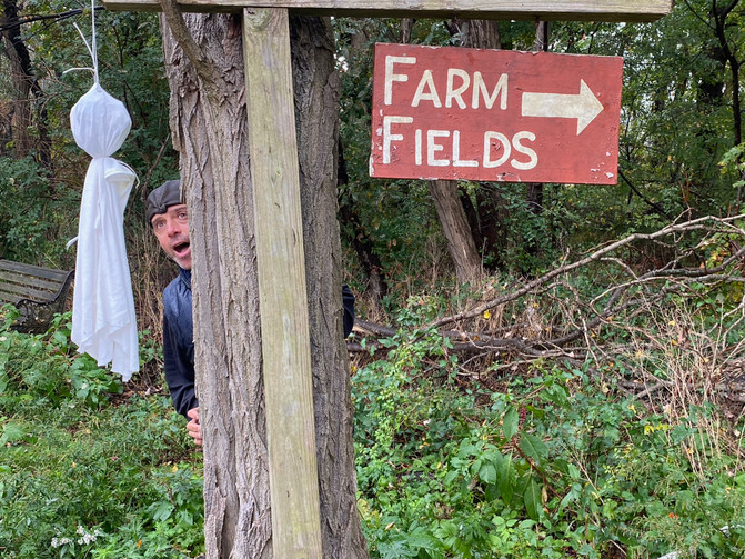 October Gleaning, October Fun