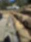 485994407_1175582677694555_2101811649827411128_n.jpg
