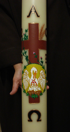 DSC01546.JPG