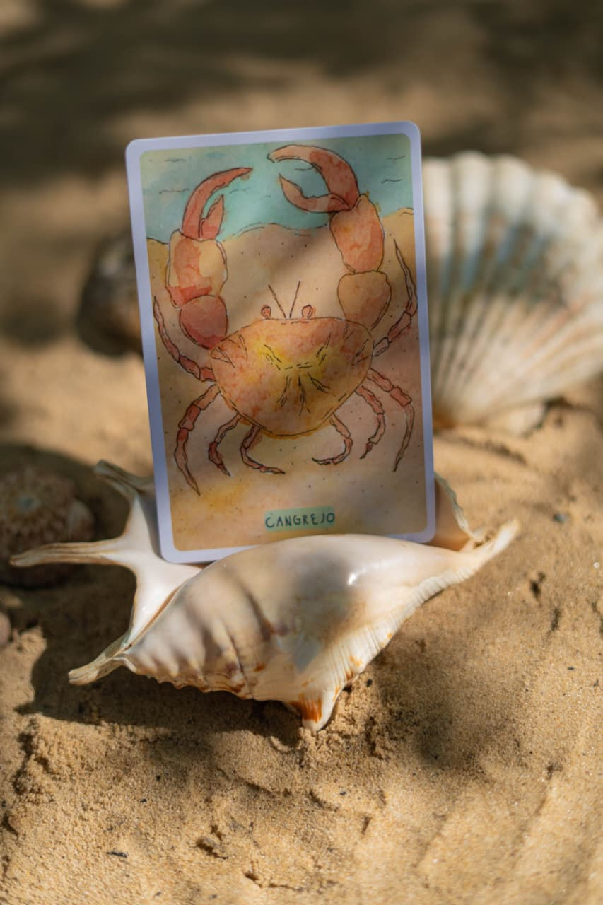 Miniatura: Oráculo Marino | el tarot del agua