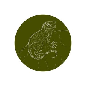 Ilustraciones de animales 