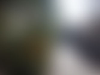 Cycle Of Scent 02 : The Story of Misogi