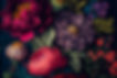AdobeStock_560364028.jpeg