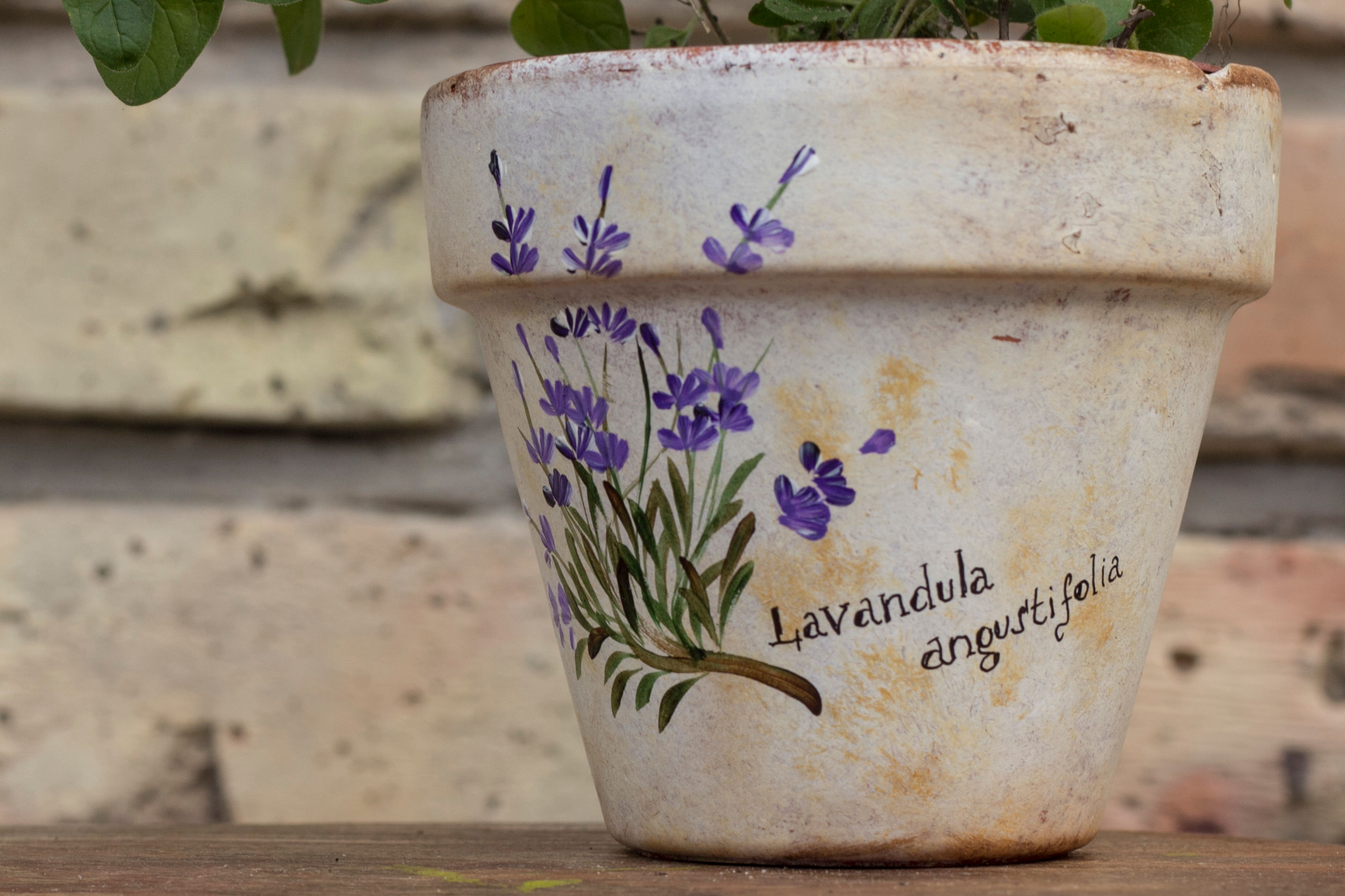 Festett virágcserép