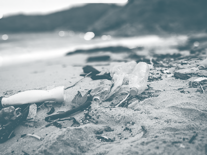 Pollutions and garbages on the beach.png