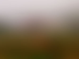 2012 Pre-Hiatus Blogger Posts