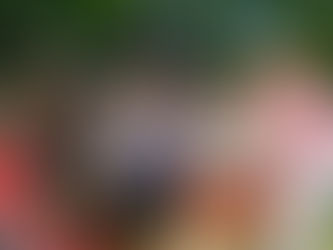Löwenklasse besucht Imkerin