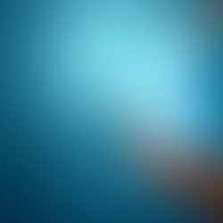 Ματαίωση εκλογικής διαδικασίας 