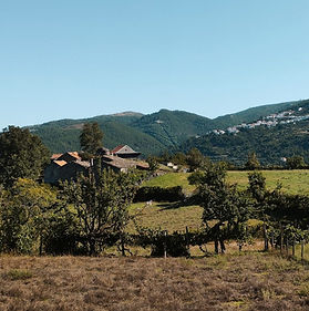 psychedelic mushroom retreat portugal psilocybin private retreat lake nature community