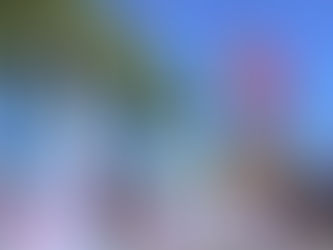 'Racecation': Lougee Basabas, Berwin Meily to join Subic weekend triathlon