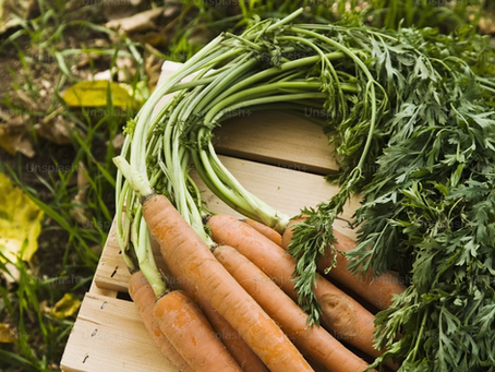 A látás vitaminja – Az A-vitamin titkai a sötétségtől a sejtekig