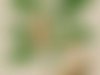 Fáradtság, stressz, feledékenység? Itt a természet titkos fegyvere: Ashwagandha tudományos bizonyítékokkal