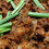 Thumbnail: Catering Event Planner and Services