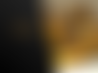 “Gold has been the best performing investment asset over the last two decades”