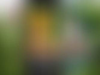 How Can AI-Powered Bird Feeder Revolutionize Scientific Research?