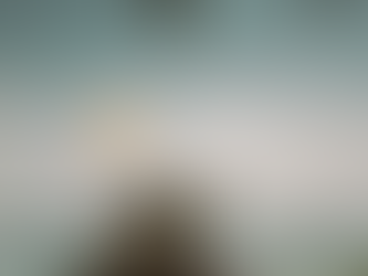 Everlodge preferred over Polygon and Solana by analysts.