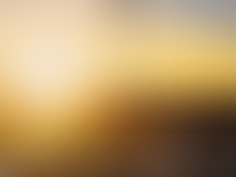 Carbon Offset Trailblazer IMPT Set For Multi-Million Carbon Credit Deal Before the End of January