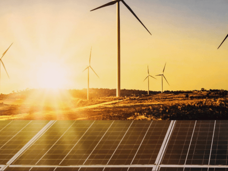 Carbon Offset Trailblazer IMPT Set For Multi-Million Carbon Credit Deal Before the End of January