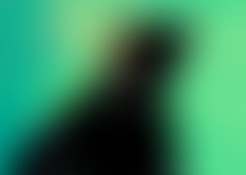 "DigiToads gains investor interest as SHIB and FLOKI plateau."