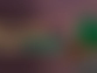 Gold Rush is Available for Trading on P2PB2B