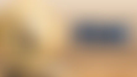 FDIC crypto risk assessment process insufficient: Inspector General