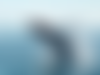 Shiba Inu Takes A Hit As Whale Moves $28.7 Million in SHIB