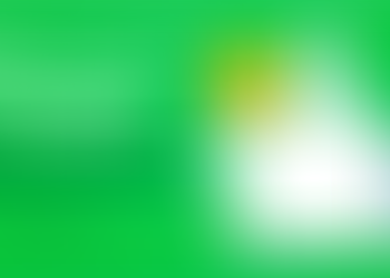 XEN Crypto Detonated the Crypto Market, Cryptocurrency Trading Platform MEXC Became Its Main Battlef