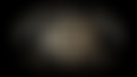 Hommiestoken: Revolutionizing Crypto with Real-World Use and November Launch