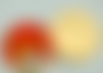 Cryptoons Provides Security to the Art Industry that Its Predecessors, Shiba Inu Failed to Do.