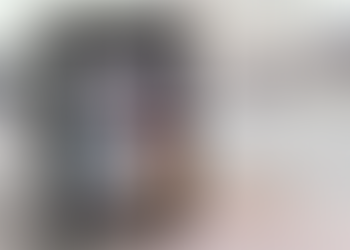 Snowfall Protocol (SNW) brings positive response