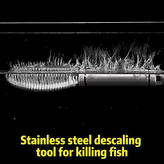 Stainless Steel Fish Skin Brush Scraper