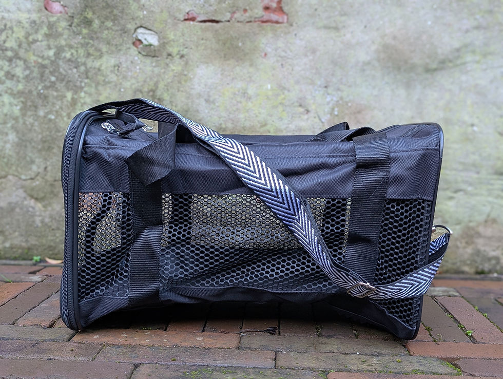 Thumbnail: Trixie - draagtas Ryan